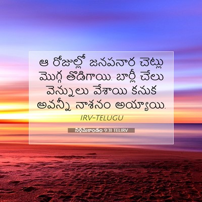 Picture 07 - నిర్గమకాండం 9:31 TELIRV - ఆ రోజుల్లో జనపనార - Bible Verse Picture