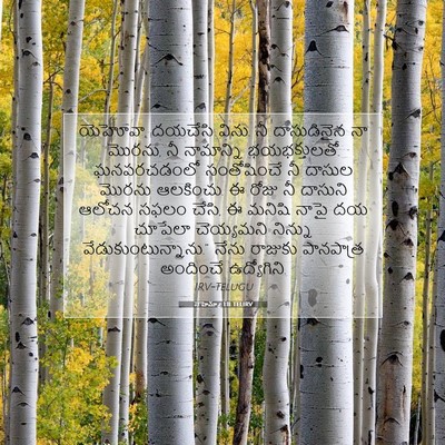 Picture 07 - నెహెమ్యా 1:11 TELIRV - యెహోవా, దయచేసి - Bible Verse Picture