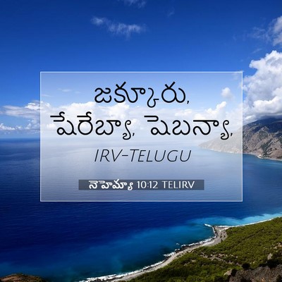 Picture 07 - నెహెమ్యా 10:12 TELIRV - జక్కూరు, షేరేబ్యా, - Bible Verse Picture