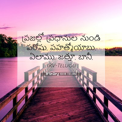 Picture 07 - నెహెమ్యా 10:14 TELIRV - ప్రజల్లో ప్రధానుల - Bible Verse Picture