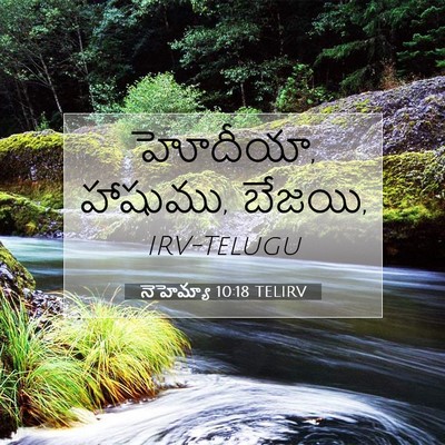 Picture 07 - నెహెమ్యా 10:18 TELIRV - హోదీయా, హాషుము, - Bible Verse Picture
