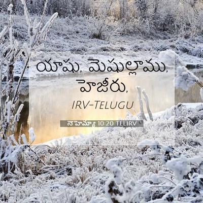 Picture 07 - నెహెమ్యా 10:20 TELIRV - యాషు, మెషుల్లాము, - Bible Verse Picture