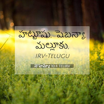Picture 07 - నెహెమ్యా 10:4 TELIRV - హట్టూషు, షెబన్యా, - Bible Verse Picture