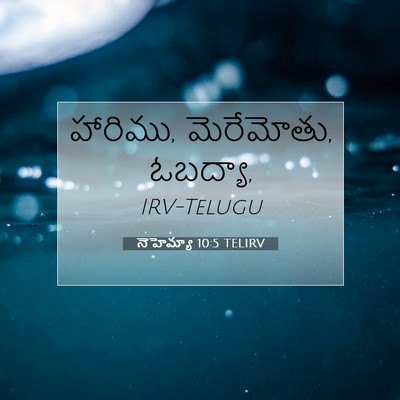 Picture 07 - నెహెమ్యా 10:5 TELIRV - హారిము, మెరేమోతు, - Bible Verse Picture
