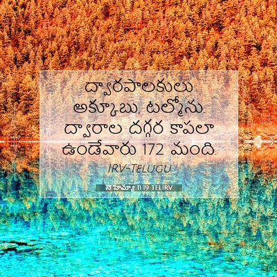 Picture 07 - నెహెమ్యా 11:19 TELIRV - ద్వారపాలకులు - Bible Verse Picture