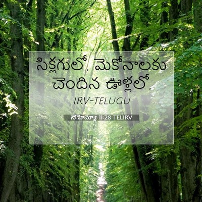 Picture 07 - నెహెమ్యా 11:28 TELIRV - సిక్లగులో, - Bible Verse Picture