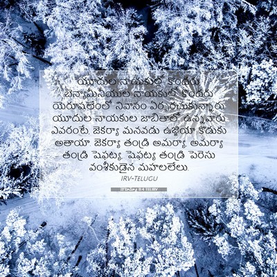 Picture 07 - నెహెమ్యా 11:4 TELIRV - యూదుల నాయకుల్లో - Bible Verse Picture