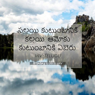 Picture 07 - నెహెమ్యా 12:20 TELIRV - సల్లయి - Bible Verse Picture