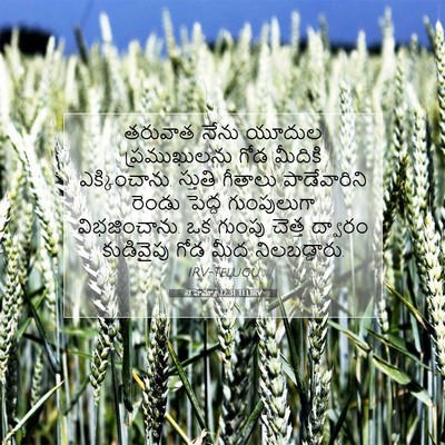 Picture 07 - నెహెమ్యా 12:31 TELIRV - తరువాత నేను యూదుల - Bible Verse Picture