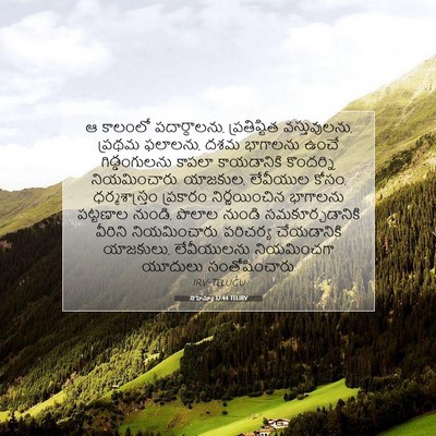Picture 07 - నెహెమ్యా 12:44 TELIRV - ఆ కాలంలో - Bible Verse Picture