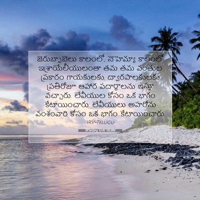 Picture 07 - నెహెమ్యా 12:47 TELIRV - జెరుబ్బాబెలు - Bible Verse Picture