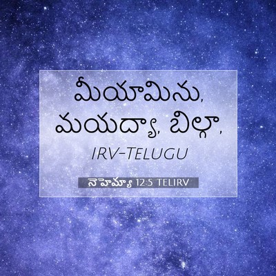 Picture 07 - నెహెమ్యా 12:5 TELIRV - మీయామిను, మయద్యా, - Bible Verse Picture