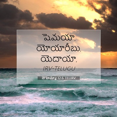 Picture 07 - నెహెమ్యా 12:6 TELIRV - షెమయా, యోయారీబు, - Bible Verse Picture