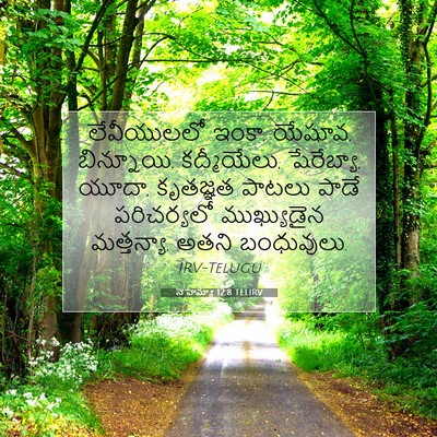 Picture 07 - నెహెమ్యా 12:8 TELIRV - లేవీయులలో ఇంకా, - Bible Verse Picture