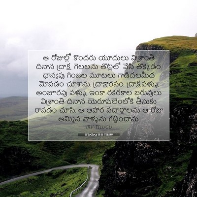 Picture 07 - నెహెమ్యా 13:15 TELIRV - ఆ రోజుల్లో కొందరు - Bible Verse Picture