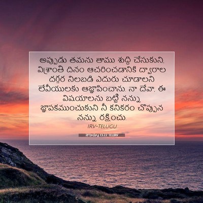Picture 07 - నెహెమ్యా 13:22 TELIRV - అప్పుడు తమను తాము - Bible Verse Picture