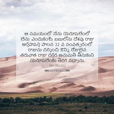 Picture 07 - నెహెమ్యా 13:6 TELIRV - ఆ సమయంలో నేను - Bible Verse Picture