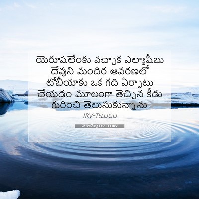 Picture 07 - నెహెమ్యా 13:7 TELIRV - యెరూషలేంకు వచ్చాక - Bible Verse Picture