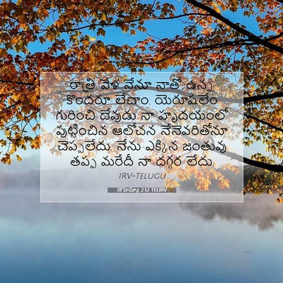 Picture 07 - నెహెమ్యా 2:12 TELIRV - రాత్రి వేళ నేనూ - Bible Verse Picture