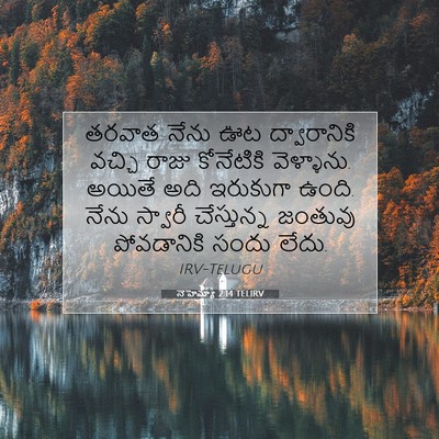 Picture 07 - నెహెమ్యా 2:14 TELIRV - తరవాత నేను ఊట - Bible Verse Picture