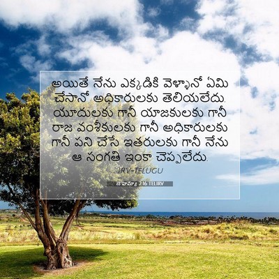 Picture 07 - నెహెమ్యా 2:16 TELIRV - అయితే నేను - Bible Verse Picture