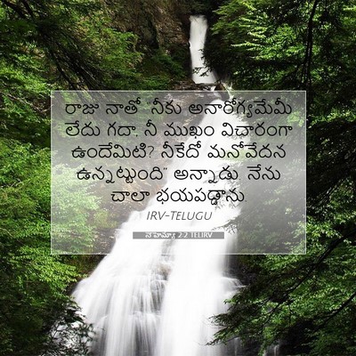 Picture 07 - నెహెమ్యా 2:2 TELIRV - రాజు నాతో “నీకు - Bible Verse Picture