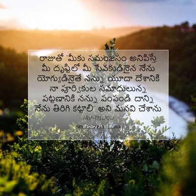 Picture 07 - నెహెమ్యా 2:5 TELIRV - రాజుతో “మీకు - Bible Verse Picture