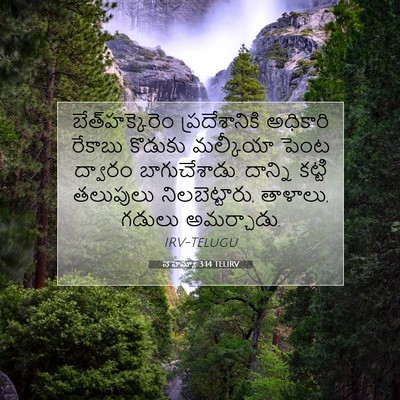 Picture 07 - నెహెమ్యా 3:14 TELIRV - బేత్‌హక్కెరెం - Bible Verse Picture