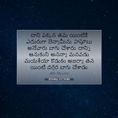Picture 07 - నెహెమ్యా 3:23 TELIRV - దాని పక్కన తమ - Bible Verse Picture
