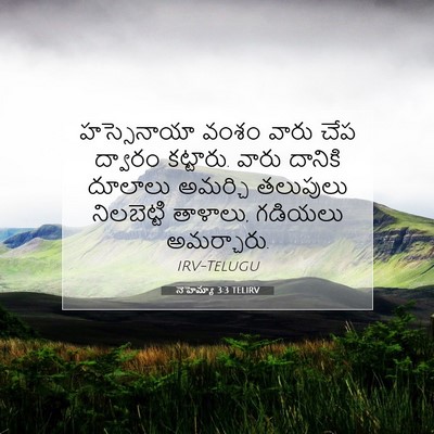 Picture 07 - నెహెమ్యా 3:3 TELIRV - హస్సెనాయా వంశం - Bible Verse Picture
