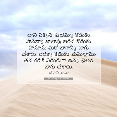 Picture 07 - నెహెమ్యా 3:30 TELIRV - దాని పక్కన - Bible Verse Picture