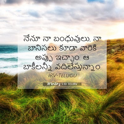 Picture 07 - నెహెమ్యా 5:10 TELIRV - నేనూ నా బంధువులు, - Bible Verse Picture