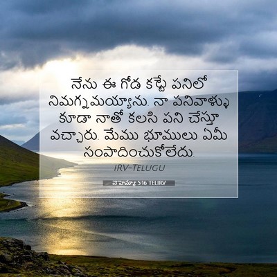 Picture 07 - నెహెమ్యా 5:16 TELIRV - నేను ఈ గోడ కట్టే - Bible Verse Picture