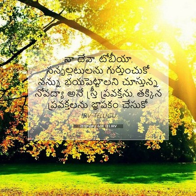 Picture 07 - నెహెమ్యా 6:14 TELIRV - నా దేవా, టోబీయా, - Bible Verse Picture