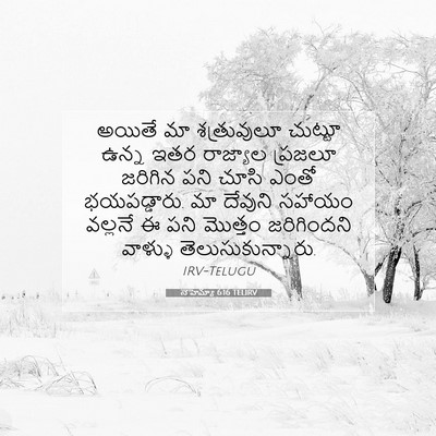 Picture 07 - నెహెమ్యా 6:16 TELIRV - అయితే మా - Bible Verse Picture