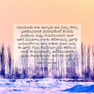 Picture 07 - నెహెమ్యా 6:7 TELIRV - ‘యూదులకు రాజు - Bible Verse Picture