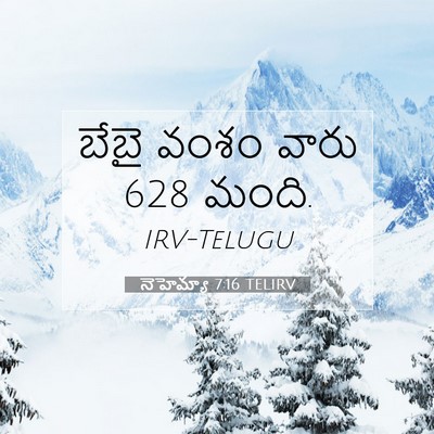 Picture 07 - నెహెమ్యా 7:16 TELIRV - బేబై వంశం వారు 628 - Bible Verse Picture