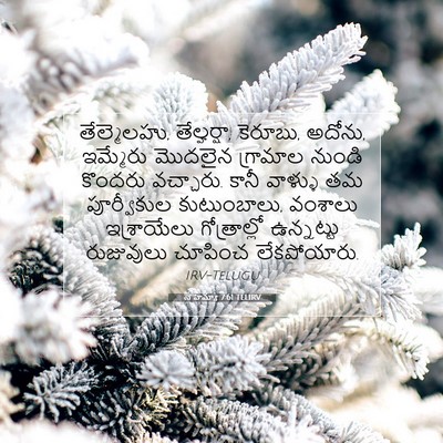 Picture 07 - నెహెమ్యా 7:61 TELIRV - తేల్మెలహు, - Bible Verse Picture