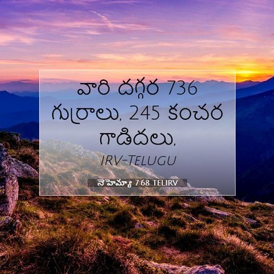 Picture 07 - నెహెమ్యా 7:68 TELIRV - వారి దగ్గర 736 - Bible Verse Picture