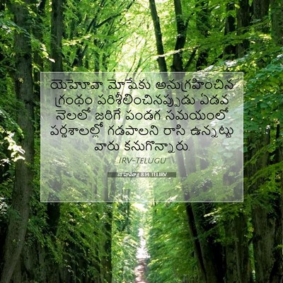 Picture 07 - నెహెమ్యా 8:14 TELIRV - యెహోవా మోషేకు - Bible Verse Picture