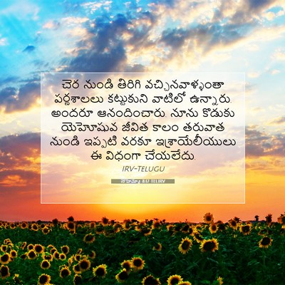 Picture 07 - నెహెమ్యా 8:17 TELIRV - చెర నుండి తిరిగి - Bible Verse Picture