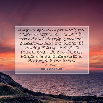 Picture 07 - నెహెమ్యా 9:29 TELIRV - నీ ఆజ్ఞలను, - Bible Verse Picture