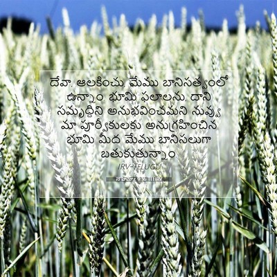 Picture 07 - నెహెమ్యా 9:36 TELIRV - దేవా, ఆలకించు, మేము - Bible Verse Picture