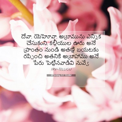 Picture 07 - నెహెమ్యా 9:7 TELIRV - దేవా, యెహోవా, - Bible Verse Picture