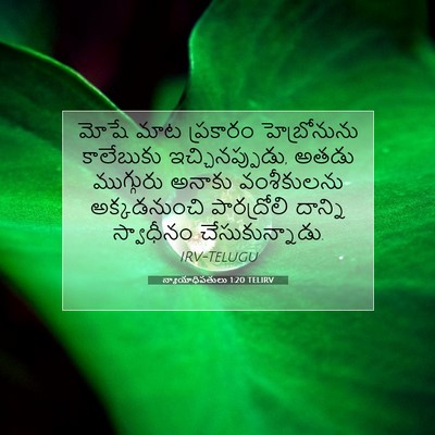 Picture 07 - న్యాయాధిపతులు 1:20 TELIRV - మోషే మాట ప్రకారం - Bible Verse Picture