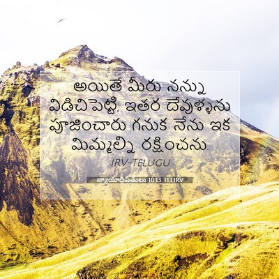 Picture 07 - న్యాయాధిపతులు 10:13 TELIRV - అయితే మీరు నన్ను - Bible Verse Picture