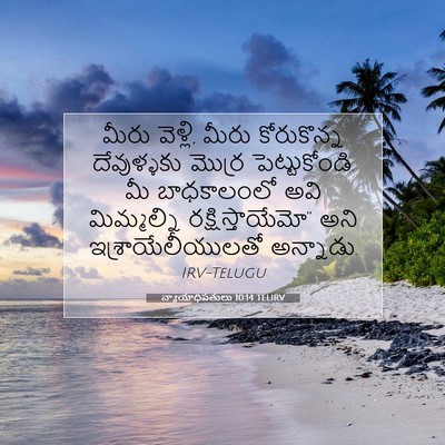 Picture 07 - న్యాయాధిపతులు 10:14 TELIRV - మీరు వెళ్లి, మీరు - Bible Verse Picture