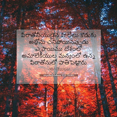 Picture 07 - న్యాయాధిపతులు 12:15 TELIRV - పిరాతోనీయుడైన - Bible Verse Picture
