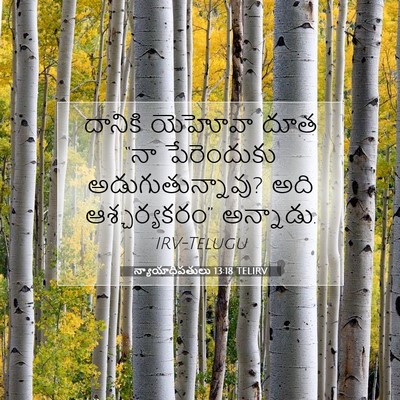 Picture 07 - న్యాయాధిపతులు 13:18 TELIRV - దానికి యెహోవా దూత - Bible Verse Picture