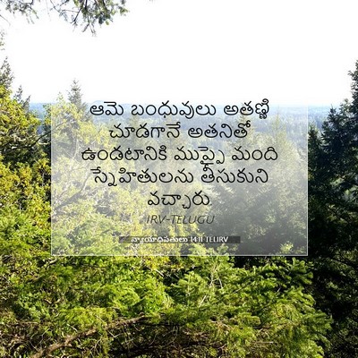 Picture 07 - న్యాయాధిపతులు 14:11 TELIRV - ఆమె బంధువులు - Bible Verse Picture